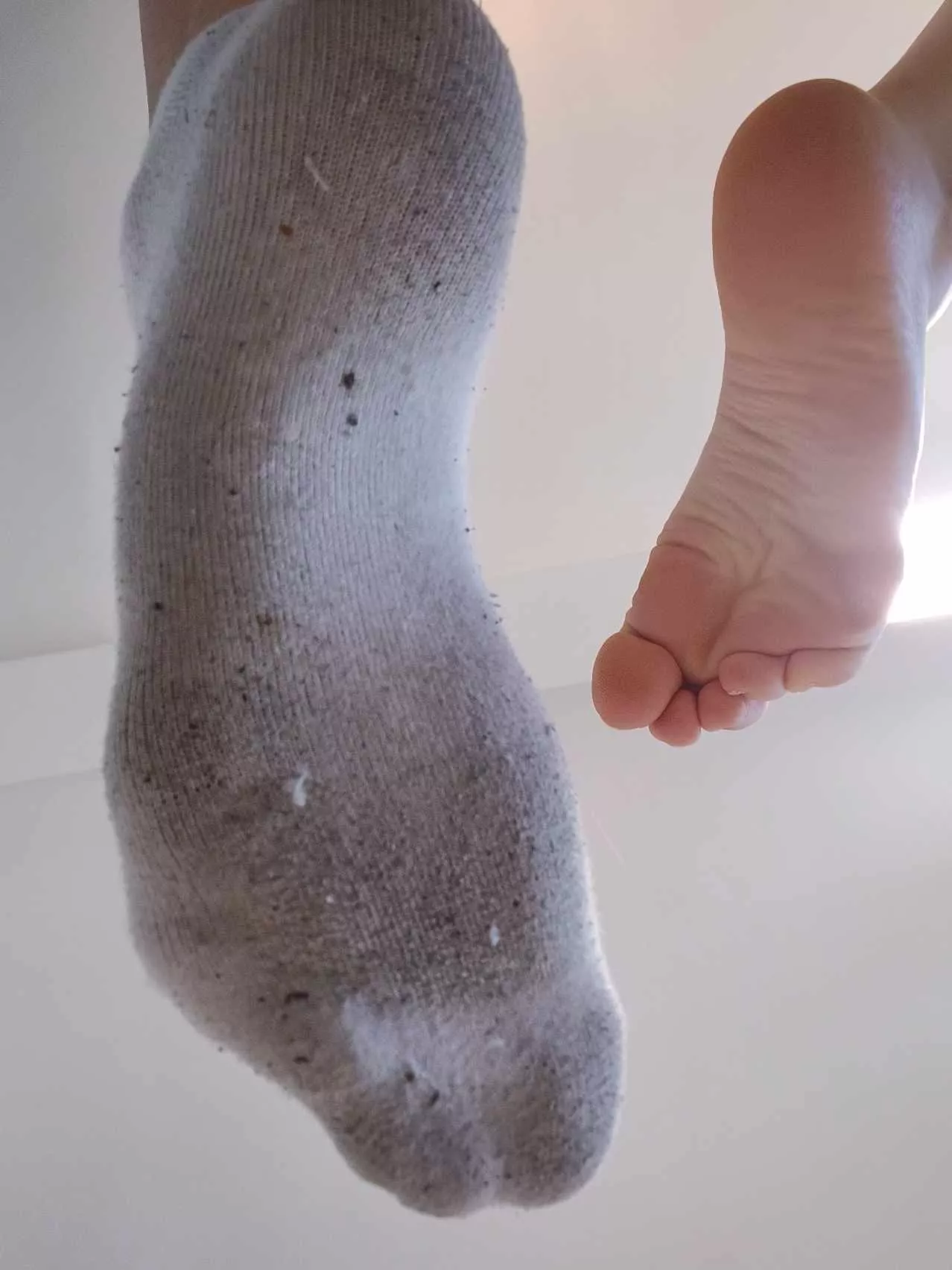 Chew on my used socks while I use you as my rug