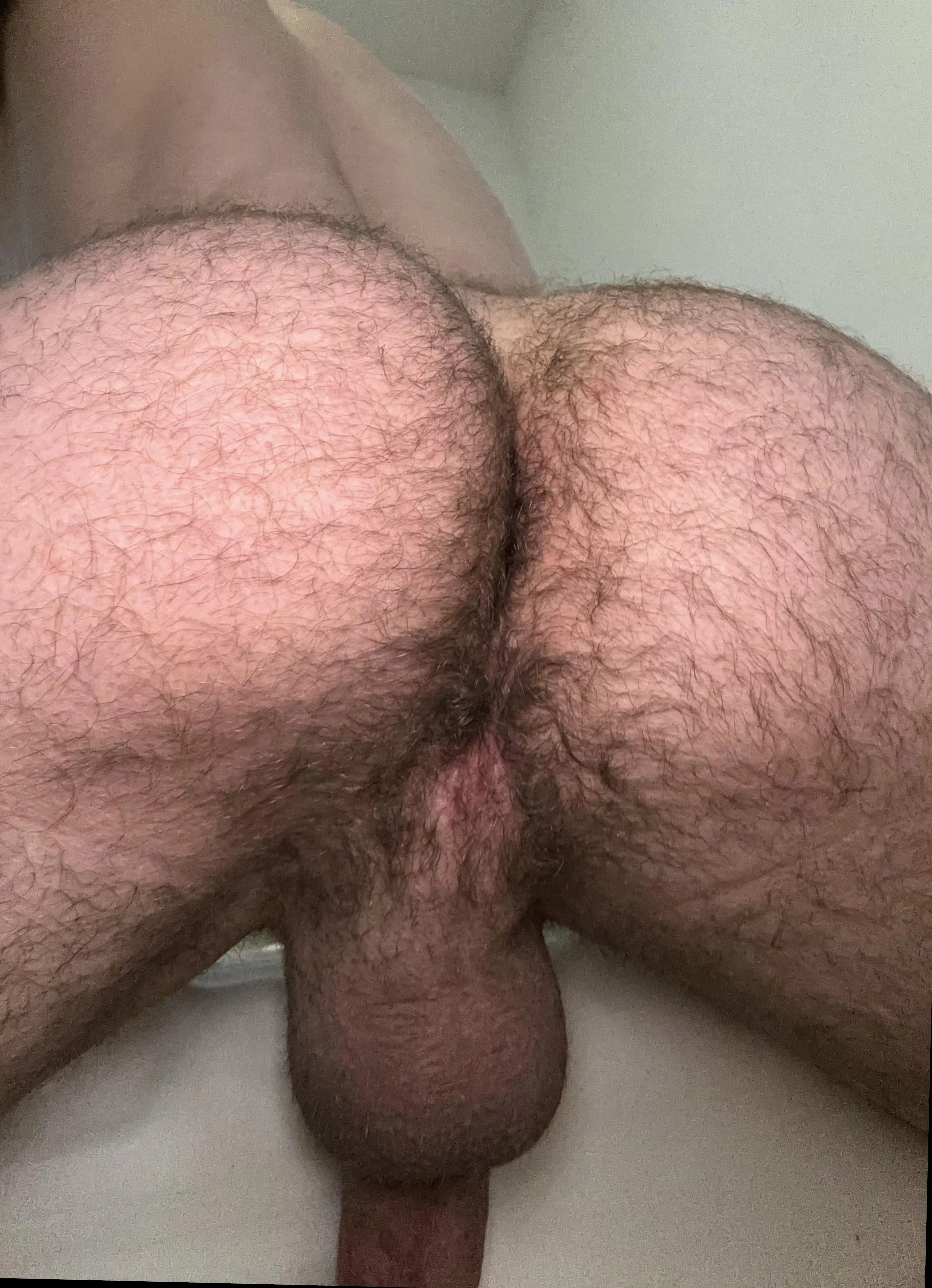 Just got back from the gym, would u rather eat or fuck my hairy ass?