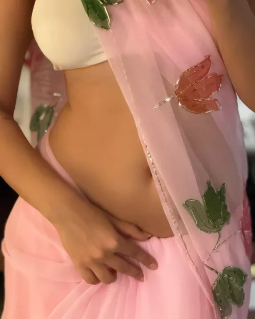 Sexy saree