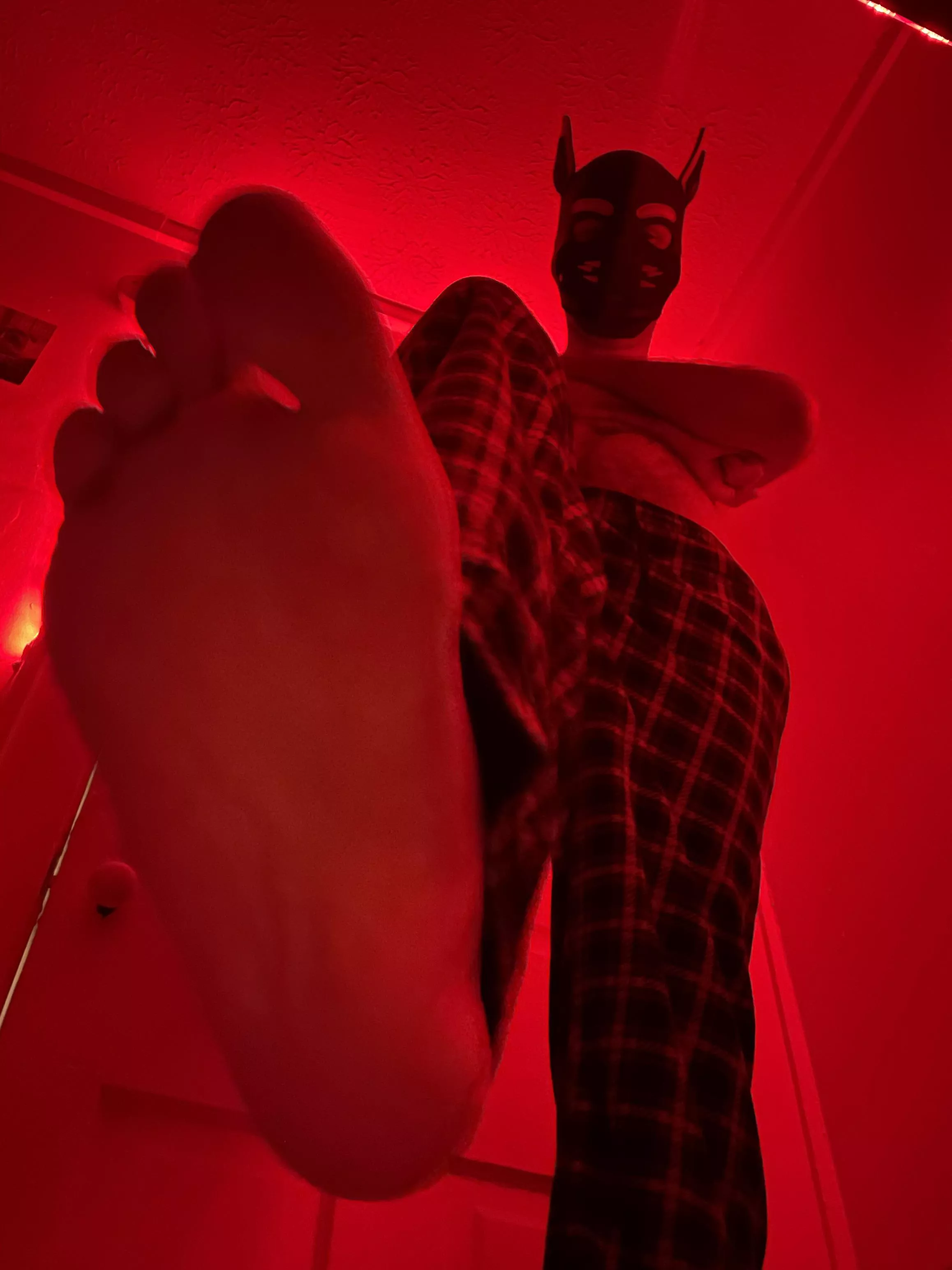 Who wants to be under my paw? 😈