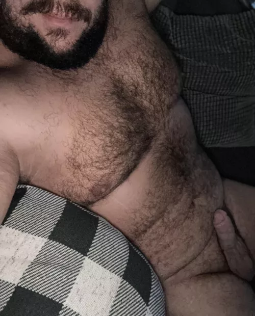 Anyone wanna lounge on the couch with me?