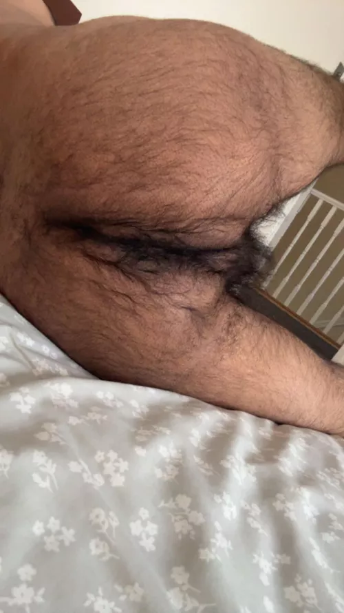 Is it hairy enough for you? (22)