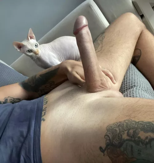 Lemme fuck your ass daily