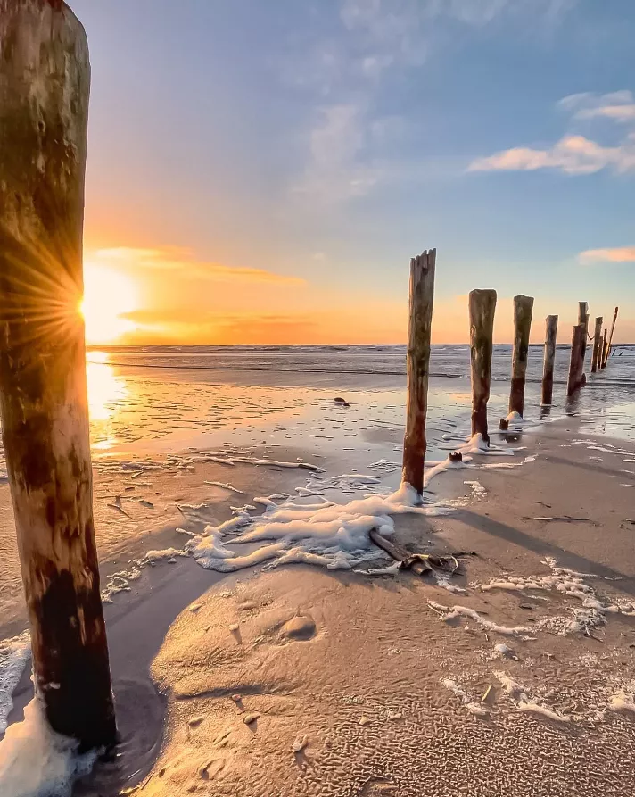 Life is better at the beach