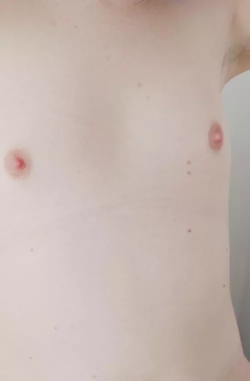 Photoshop me some breasts, I’ll supply the nipples