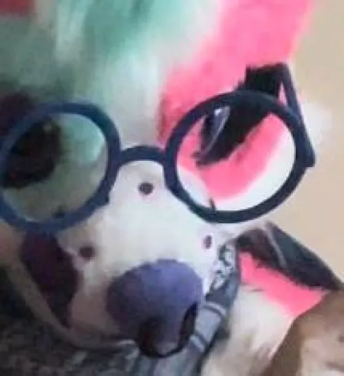 She’ll stare at you like this until you give her boops >:3