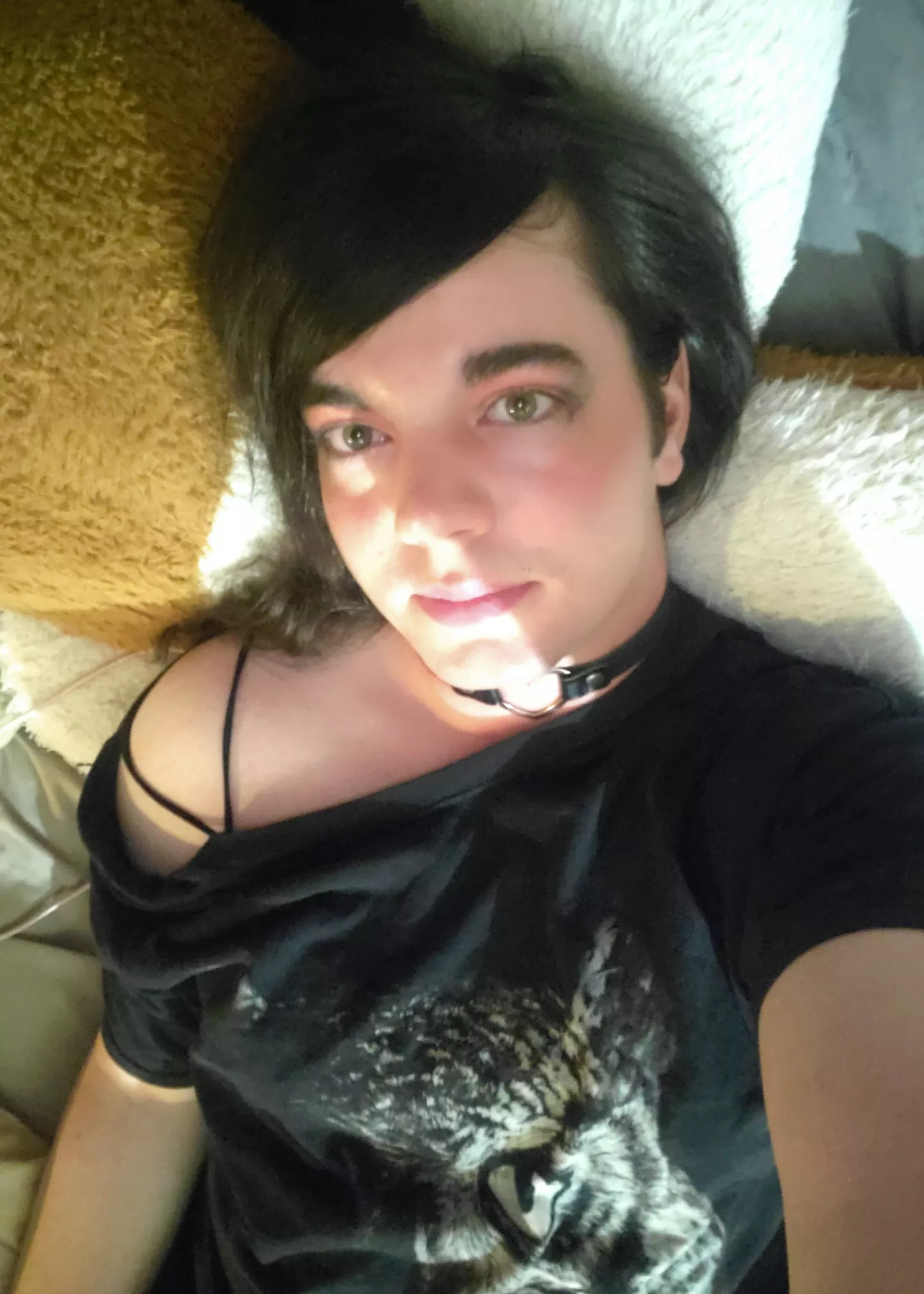 The owl is watching 👀