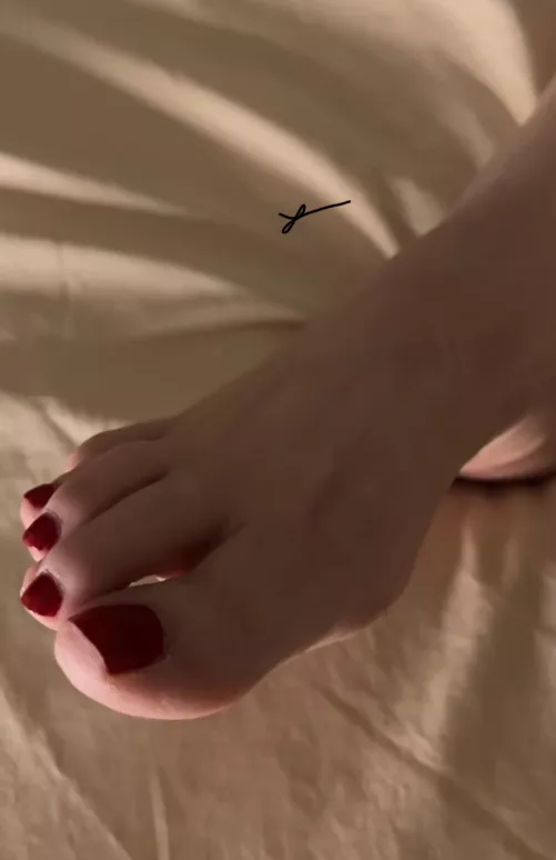 Up Close & personal🌹