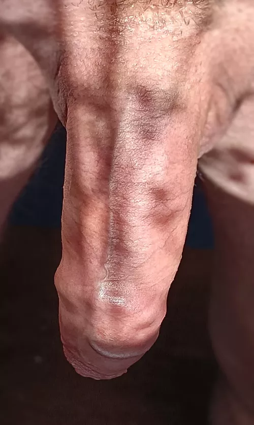 Working from home (53)