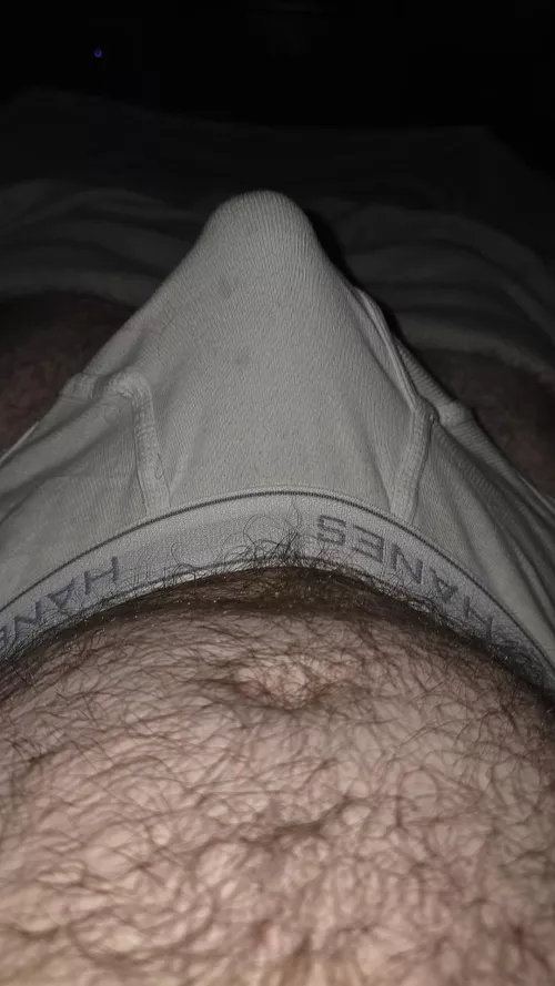 A Bulgey Morning [31]