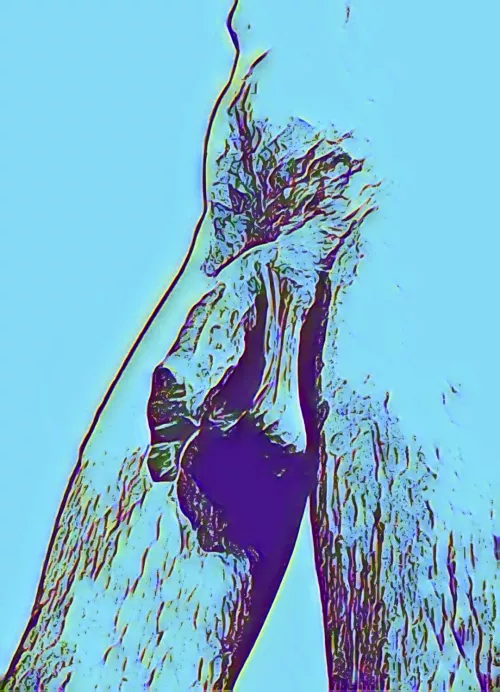 Self package portrait 