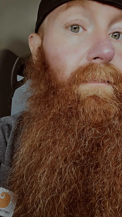 Do you think he is as pretty as I do 