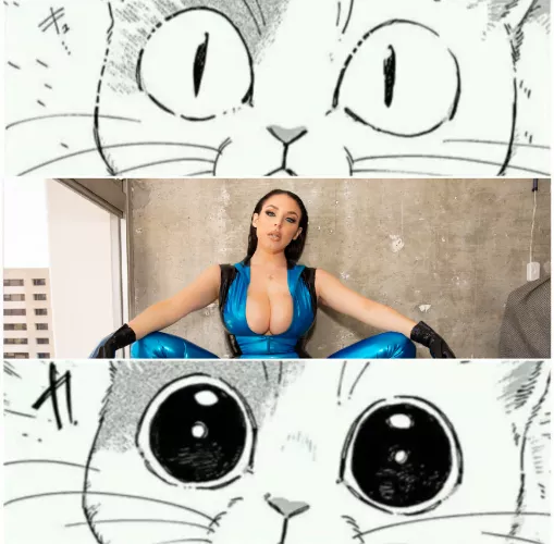 I agree with you cat here