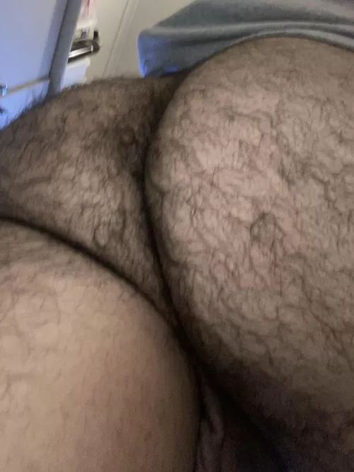I need to see some cocks in pms