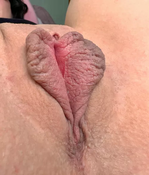 Spread my 🦋 with your 👅