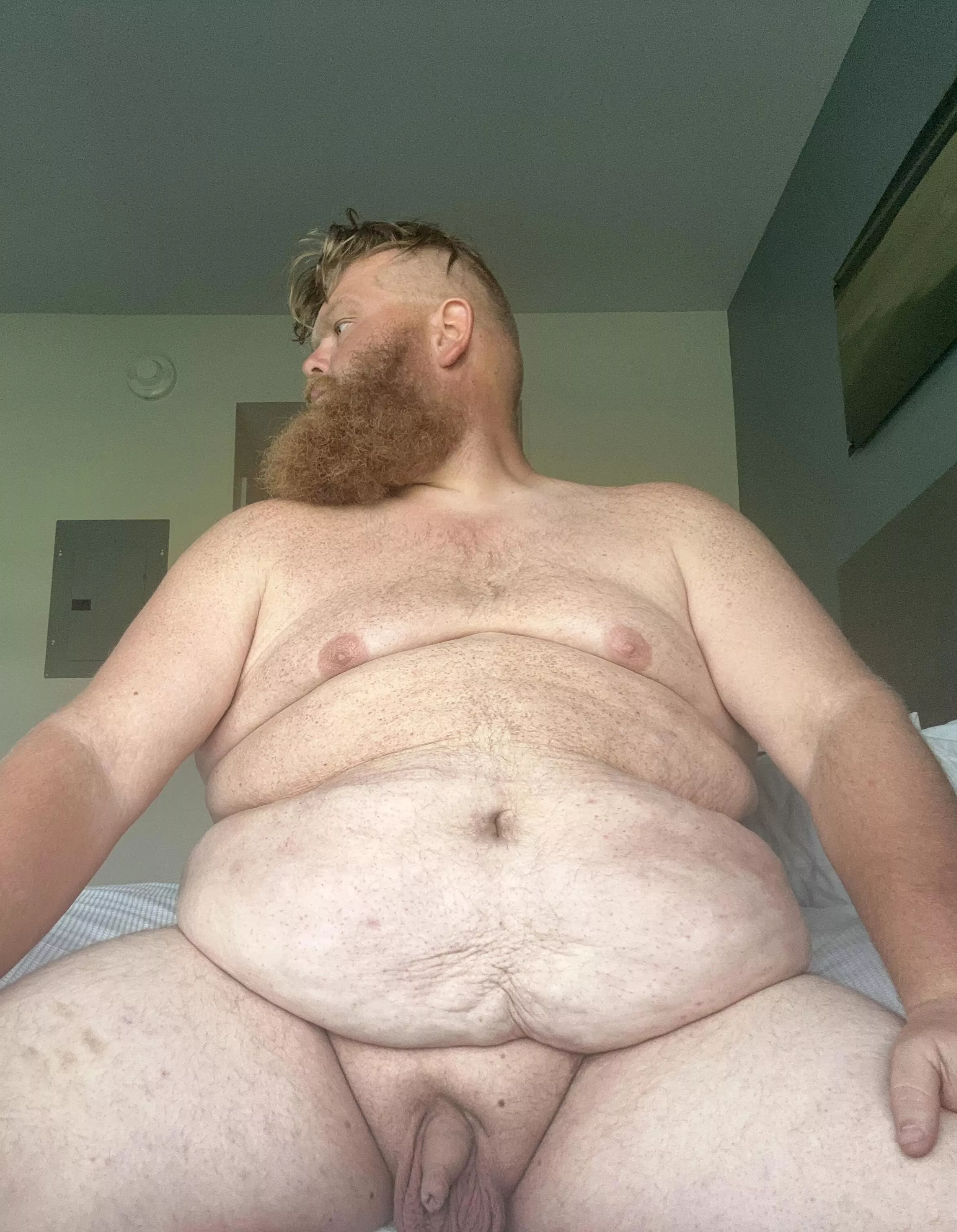 What would you do if you drove by my hotel window and saw this