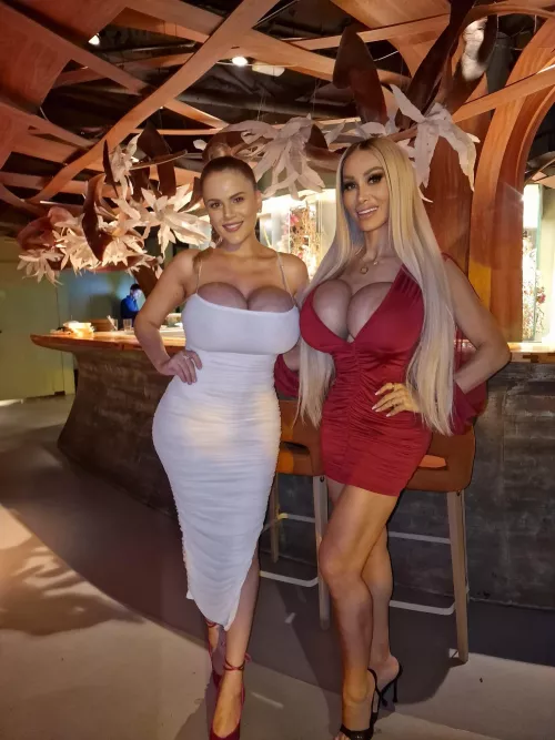 What’s better than one bimbo? Two bimbos! [oc]