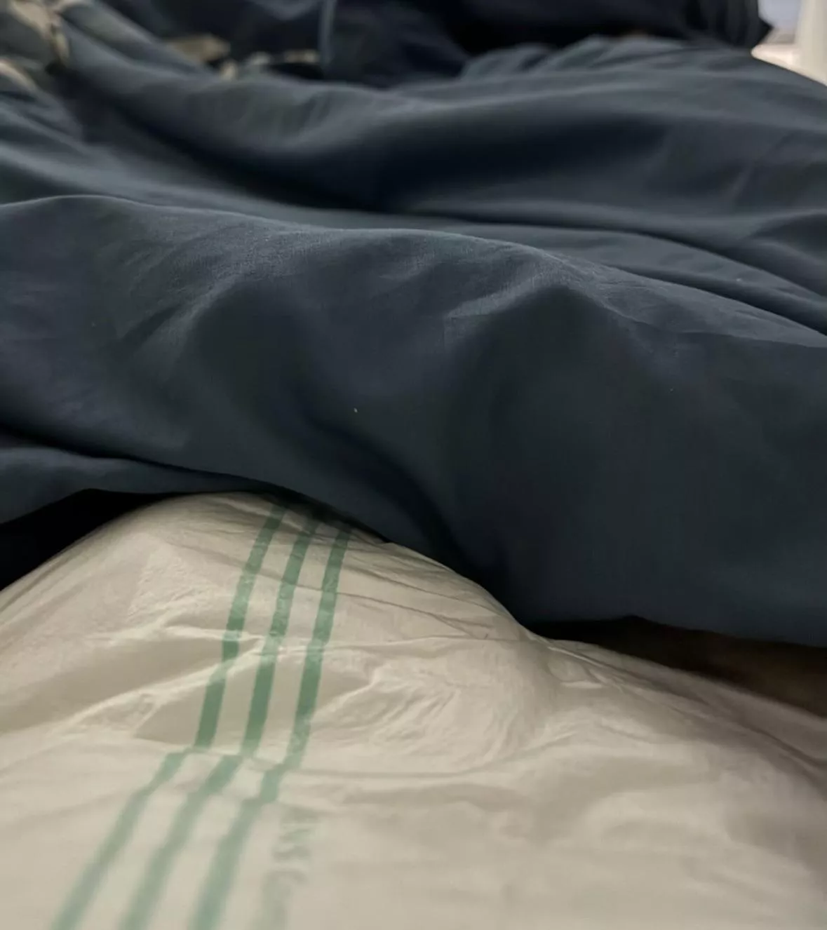 I want a DL to take care of<3