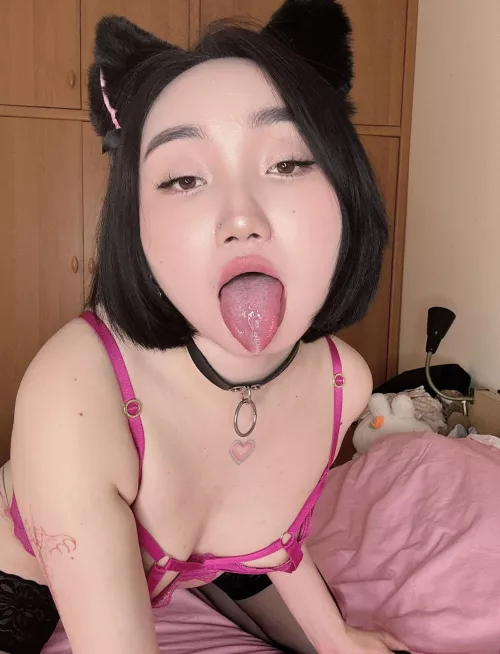 I'll be your cat today