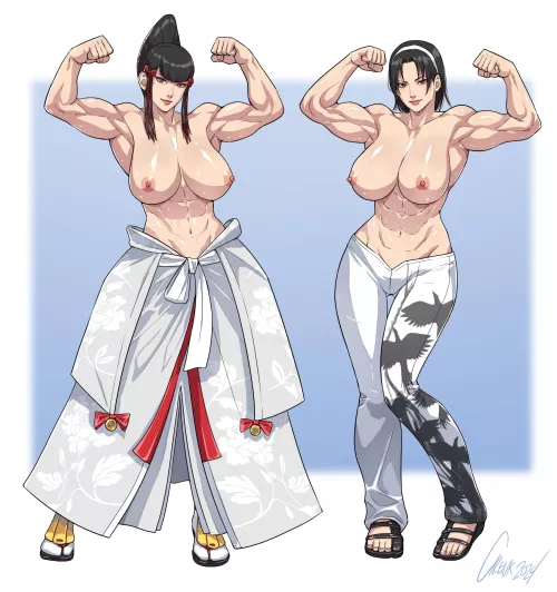 Kazumi Mishima and Jun Kazama (Cirenk) [Tekken]