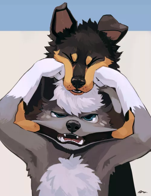 Playful Fighting [awwchang]