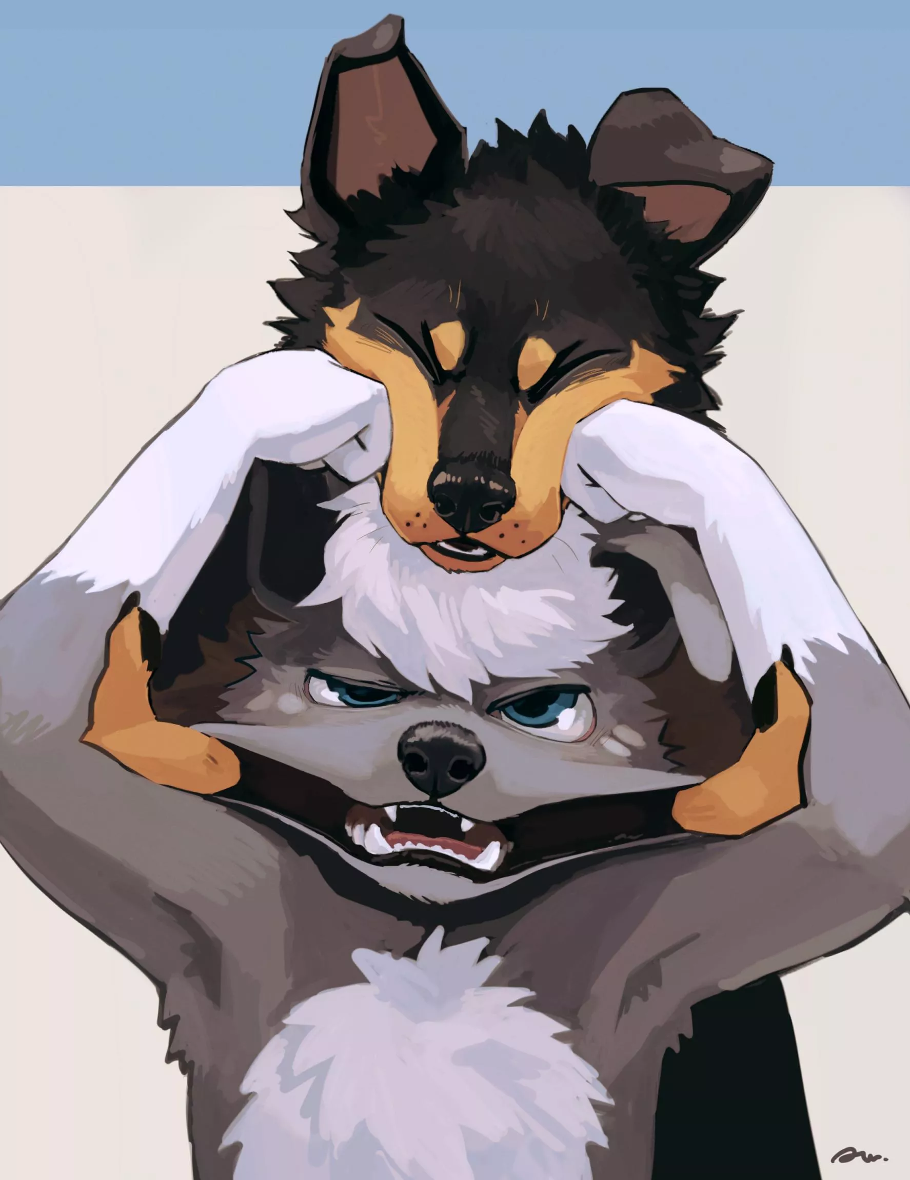 Playful Fighting [awwchang]