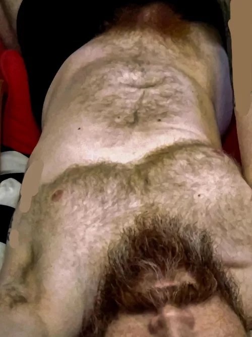 Beard, chest and bush hair