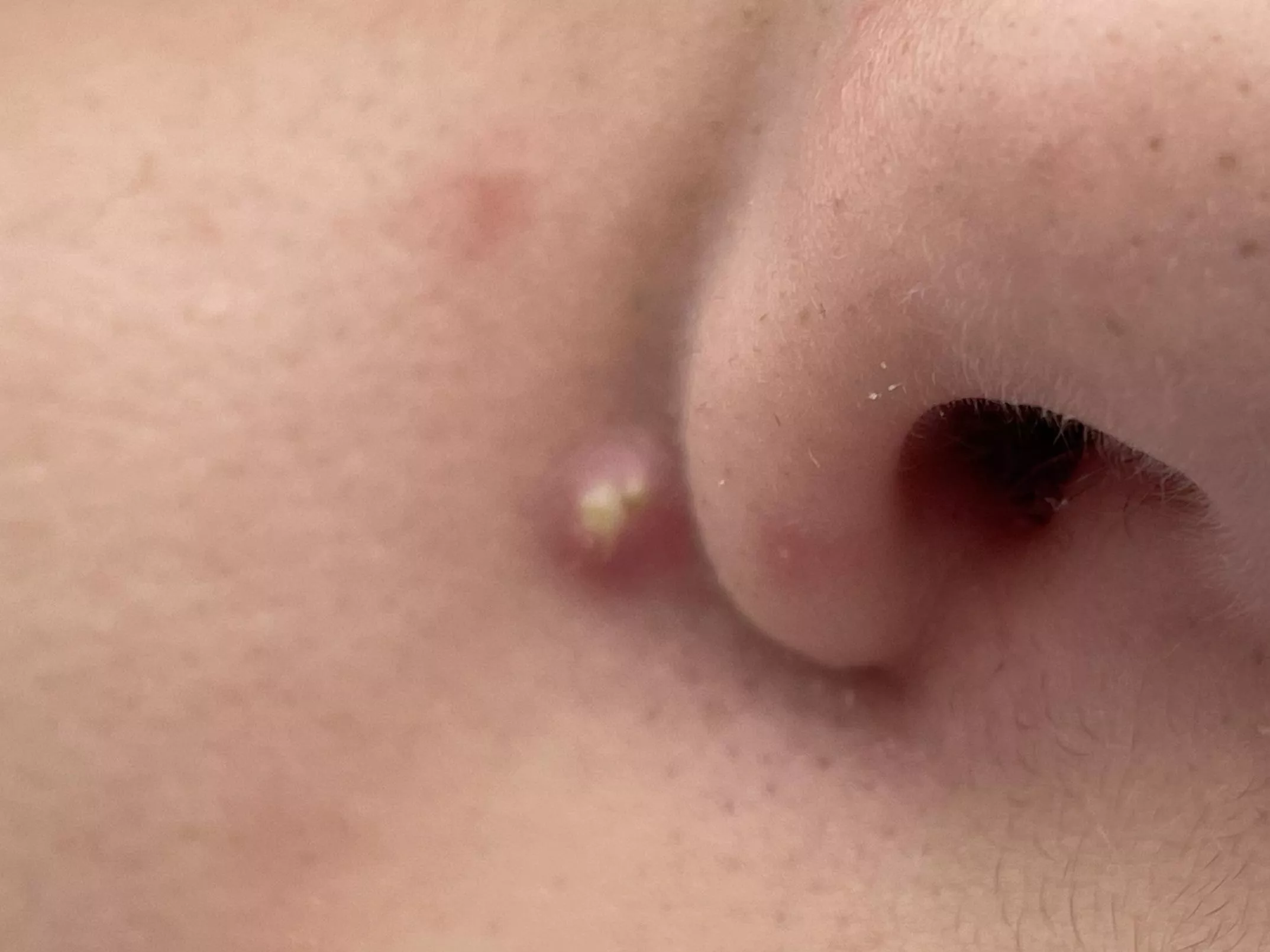 Forbidden pop on my son. 