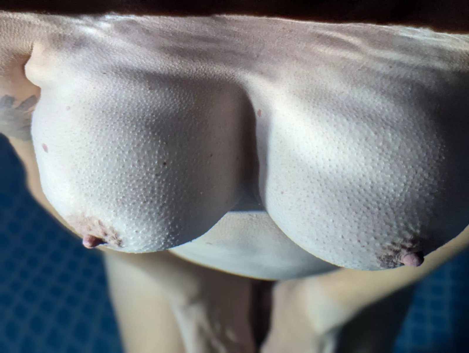 Goosebumps on a chilly swim night 