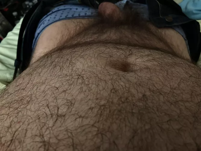 Hairy belly and bush