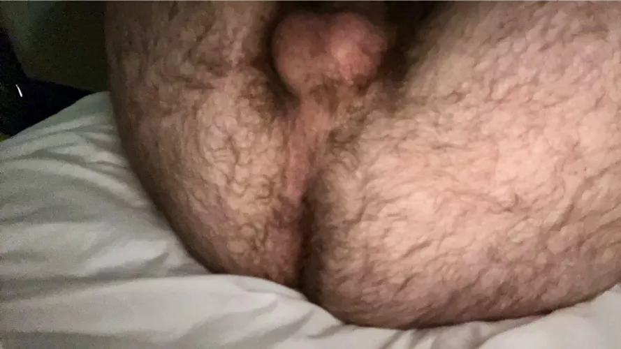 hairy teen ass