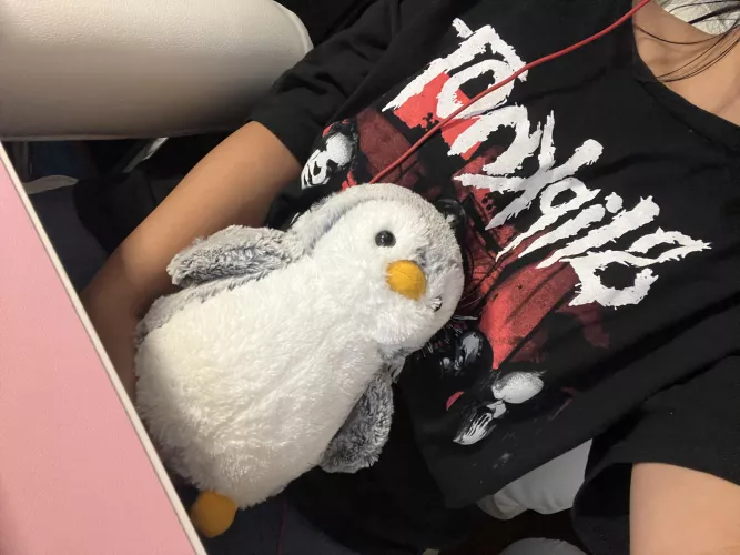 Willis is the perfect gaming buddy >.<