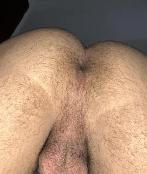 Would you bury your face ?