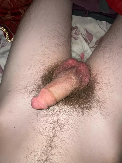 18 how is it more pics on pf need a bud