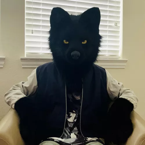 Happy International Wolf Day! 🐺