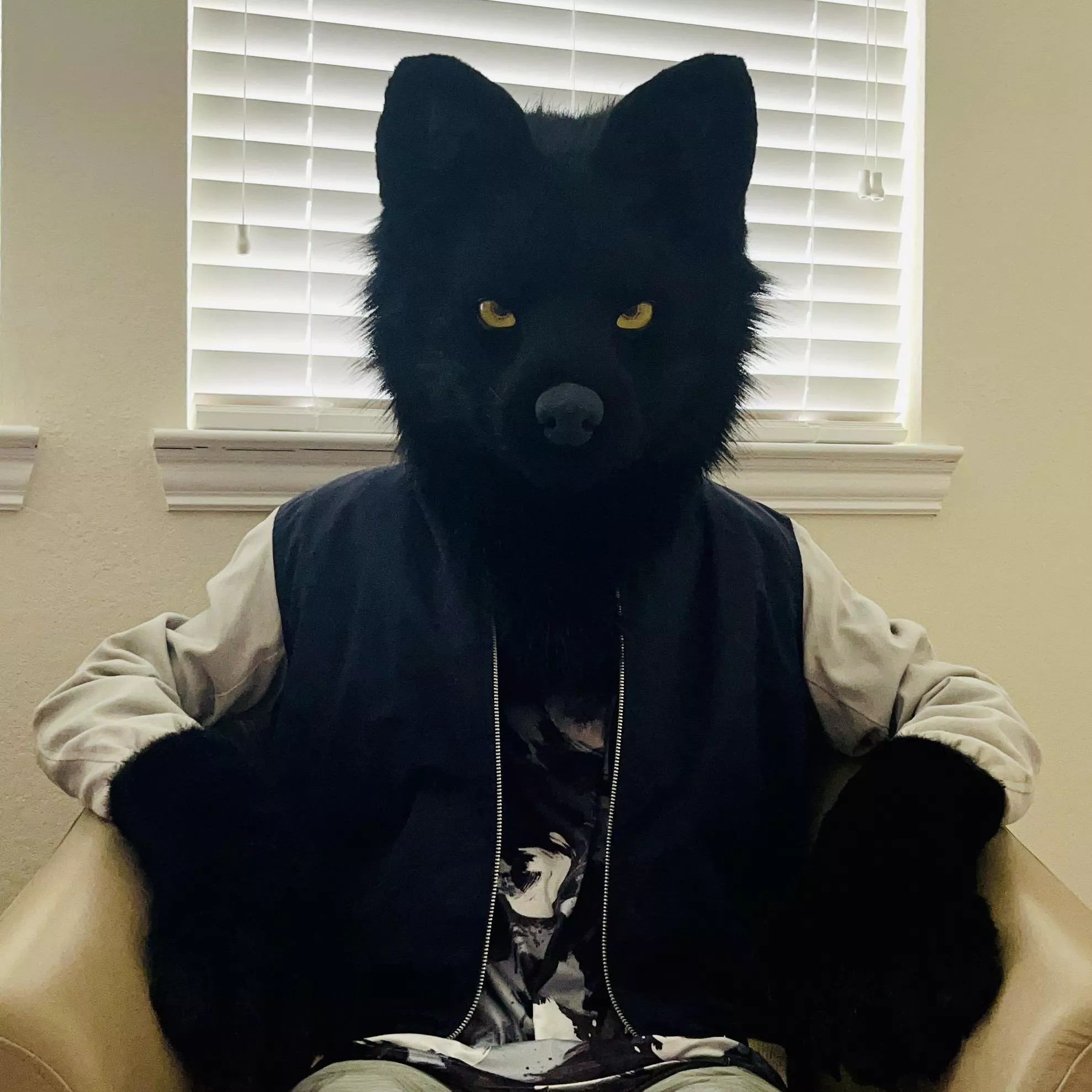 Happy International Wolf Day! 🐺