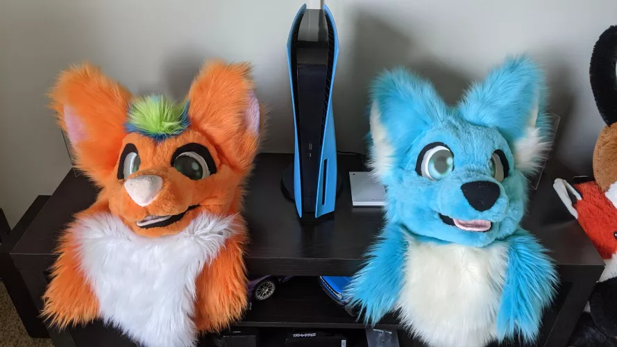 I came across my fursuits long lost brother the other day on facebook so naturally i had to have em. Coronet, meet Tenoroc! 