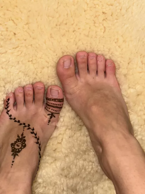 They are lonely and need attention