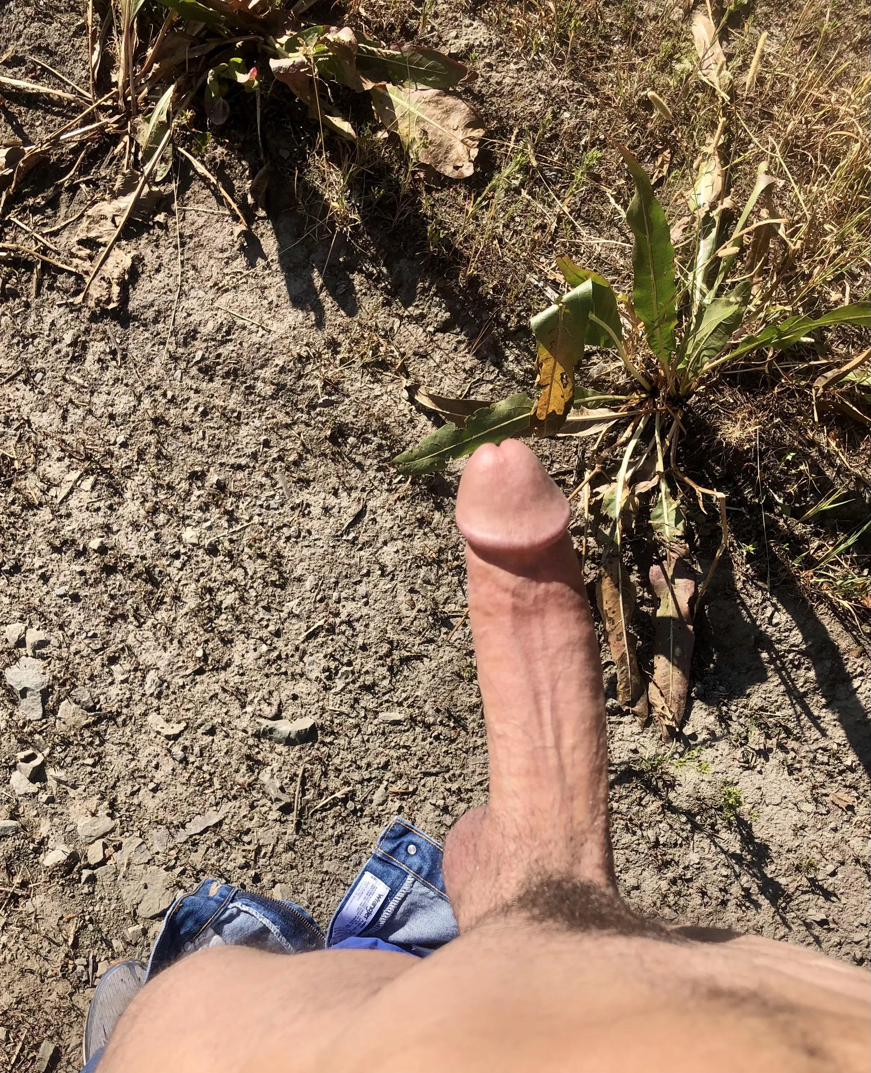 How do I compare to your boyfriend?