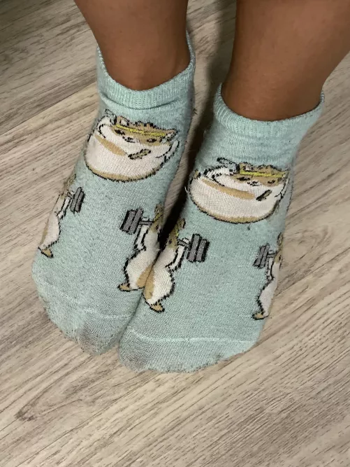 Socks of the day