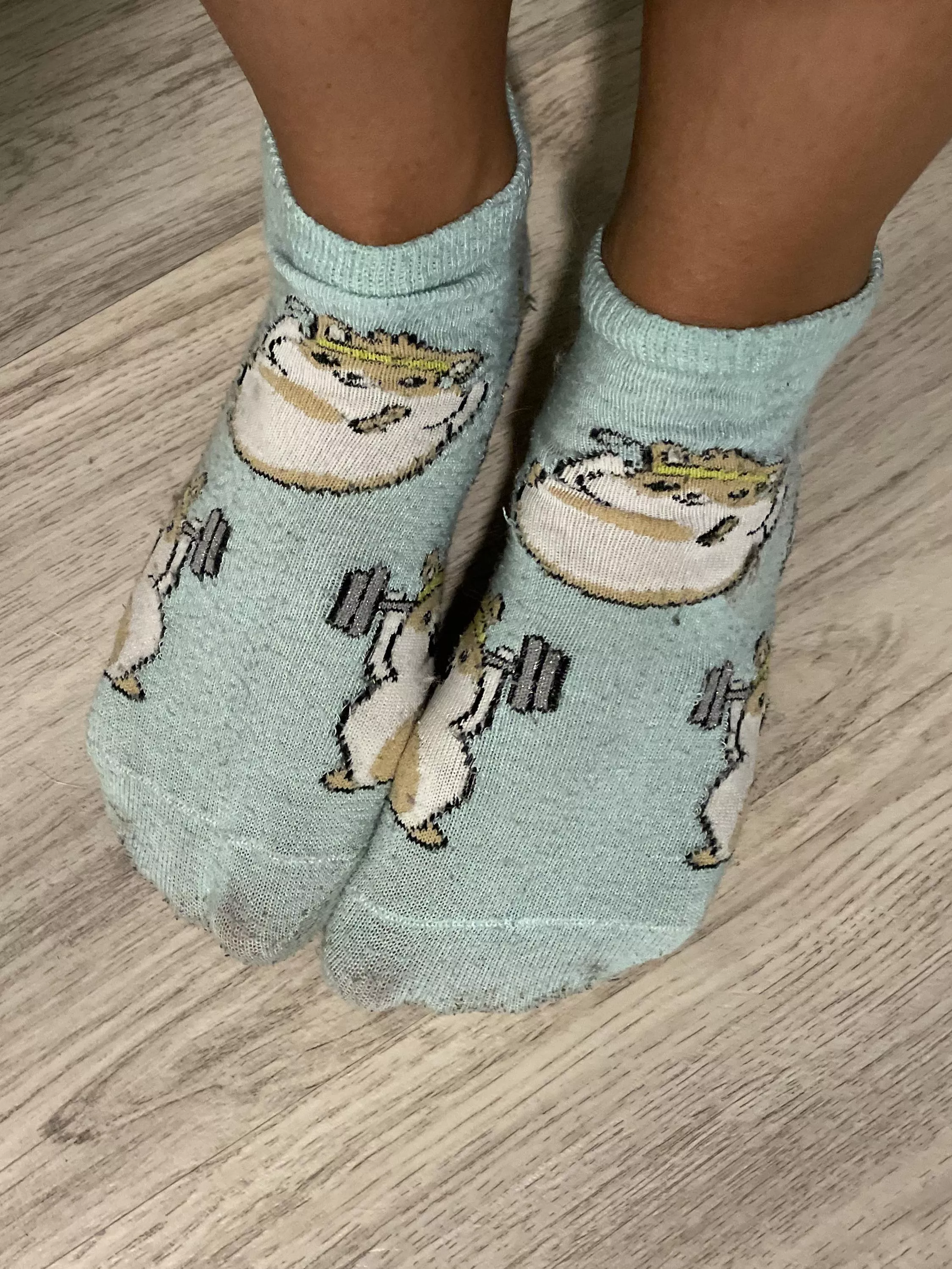 Socks of the day