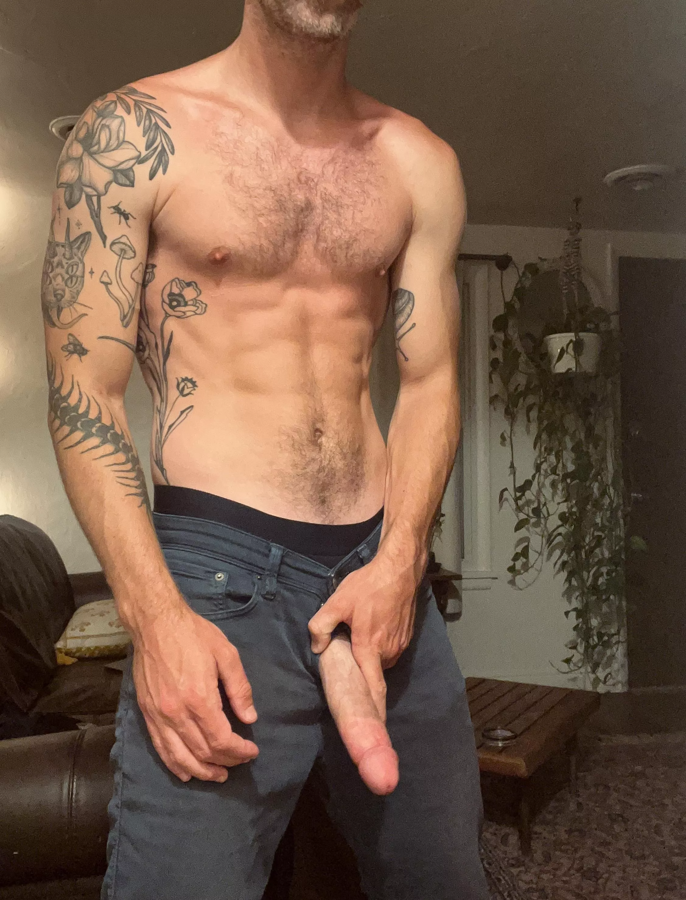 What should get next? 