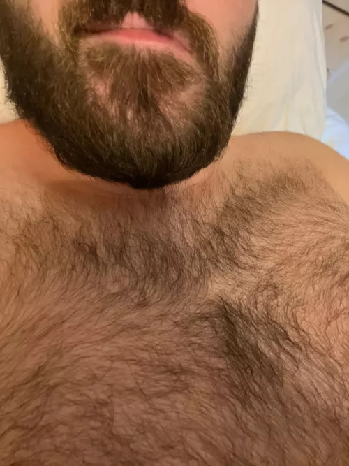 30 bear looking for fun @jonbear30 