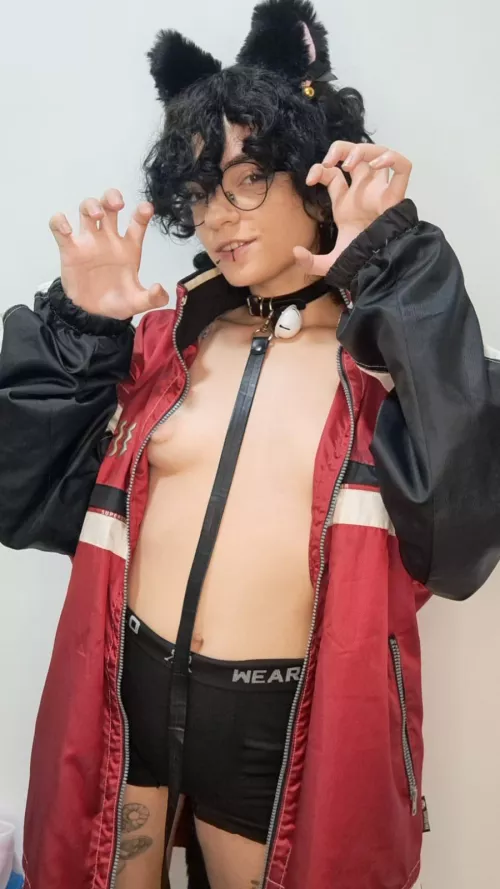 pov: your kitty steals your new jacket ^^