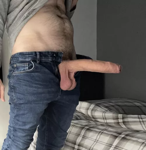 Who likes older cockv