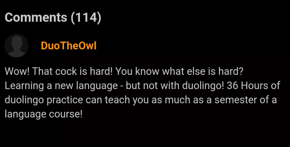 You can never escape the Duolingo bird.