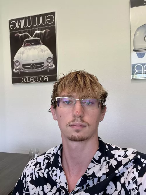 24hr Update* Forbidden pops on nose 