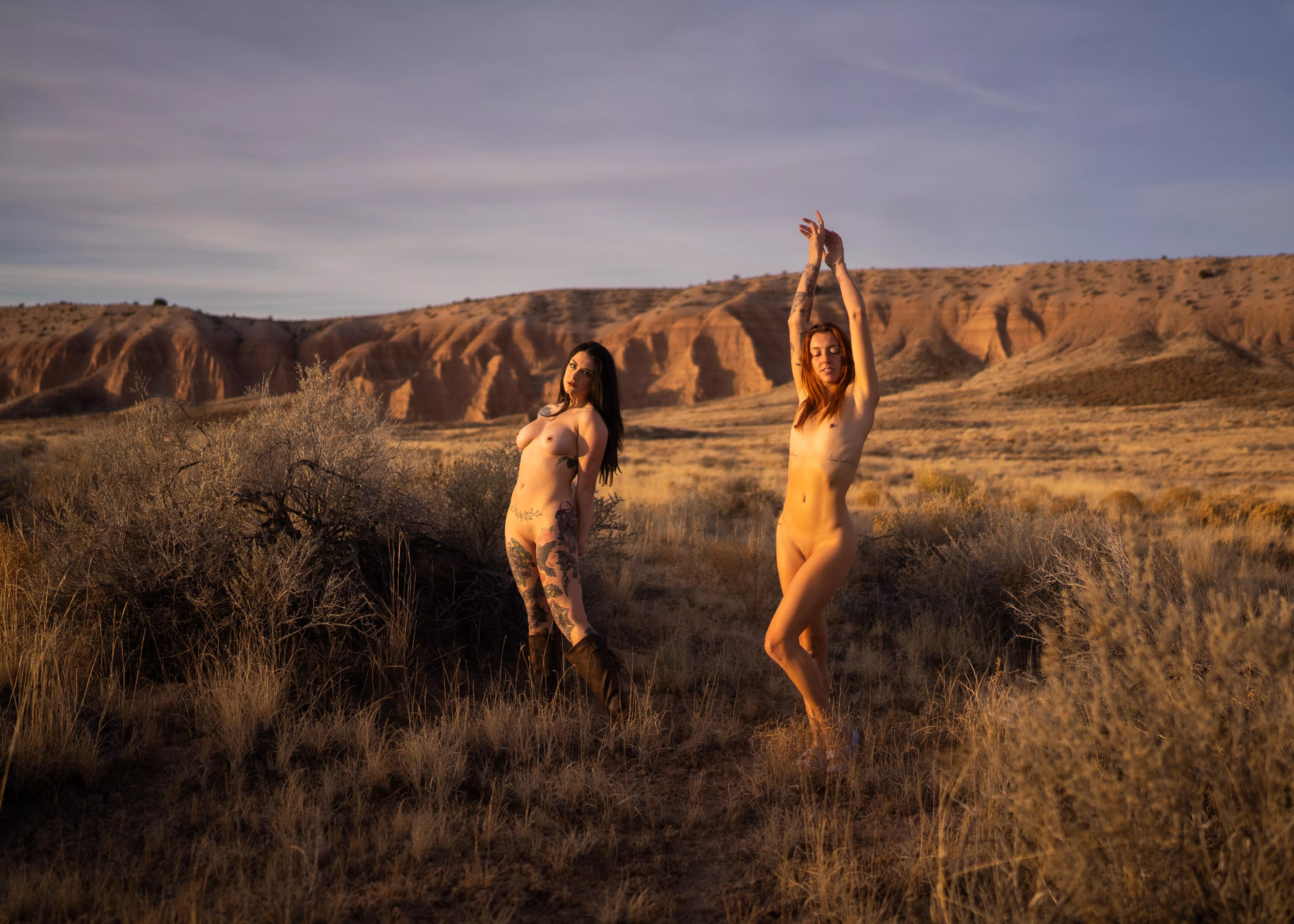 basking in the morning sun