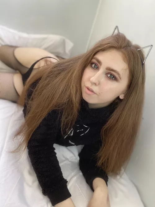 The cat wants to lie around in an embrace and do nothing