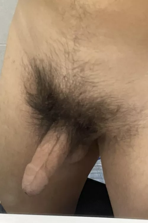 Who is into hairy cocks?!